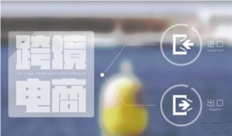 大洋柜AU Mall 打造线上急速购物体验，诚邀电子商务精英加盟